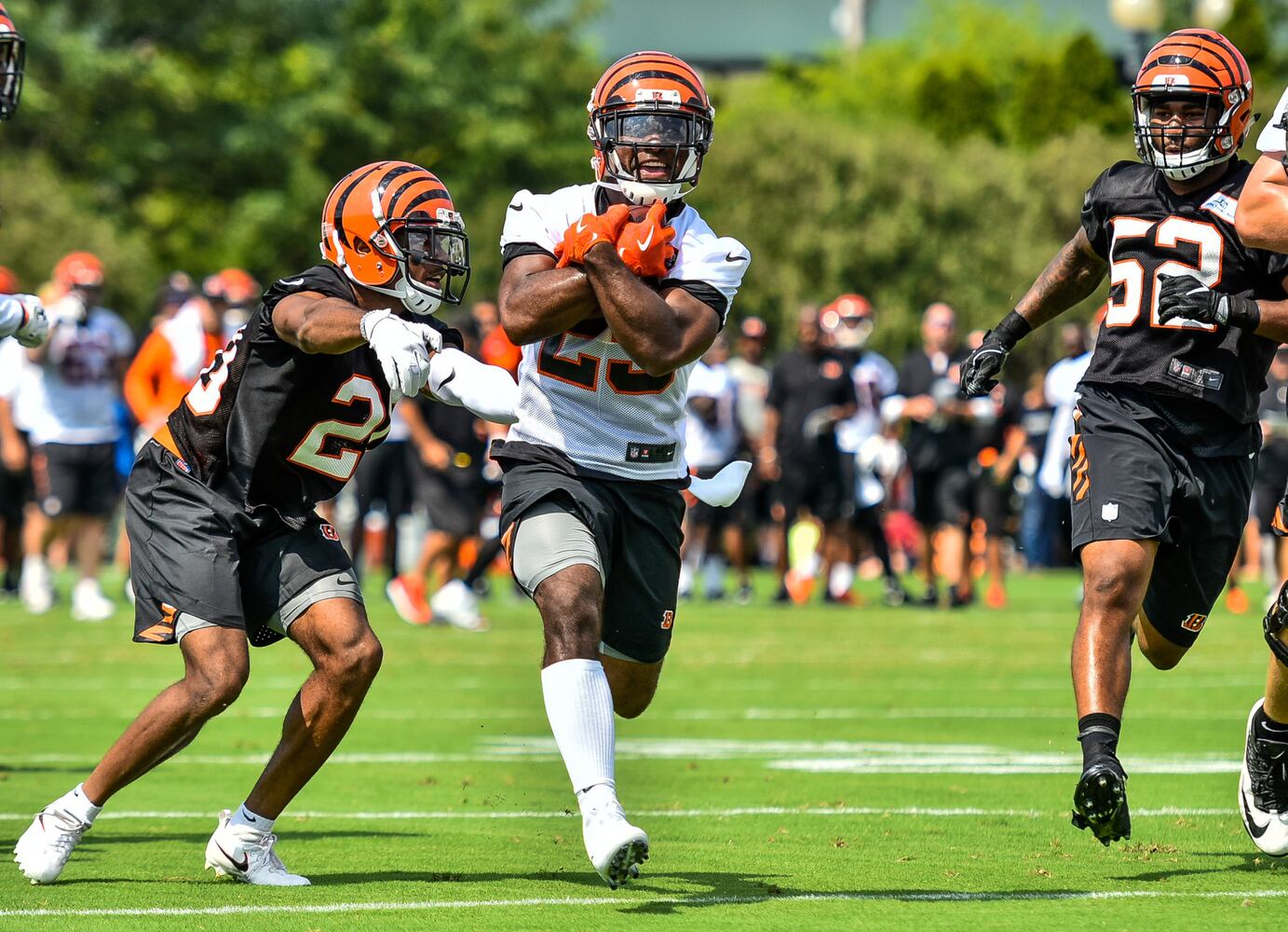 Bengals Training Camp Day 1