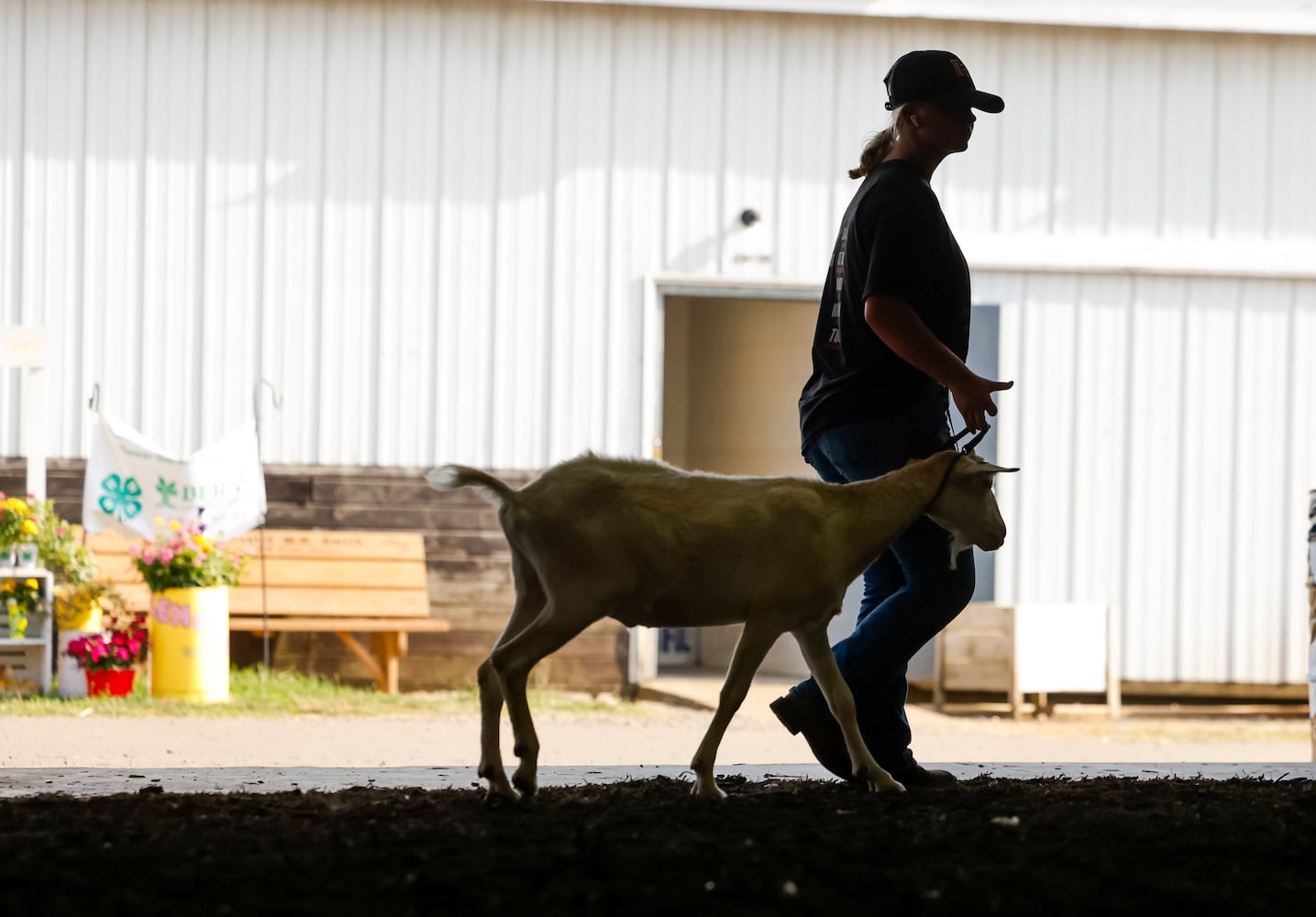 072225 BC Fair Tuesday