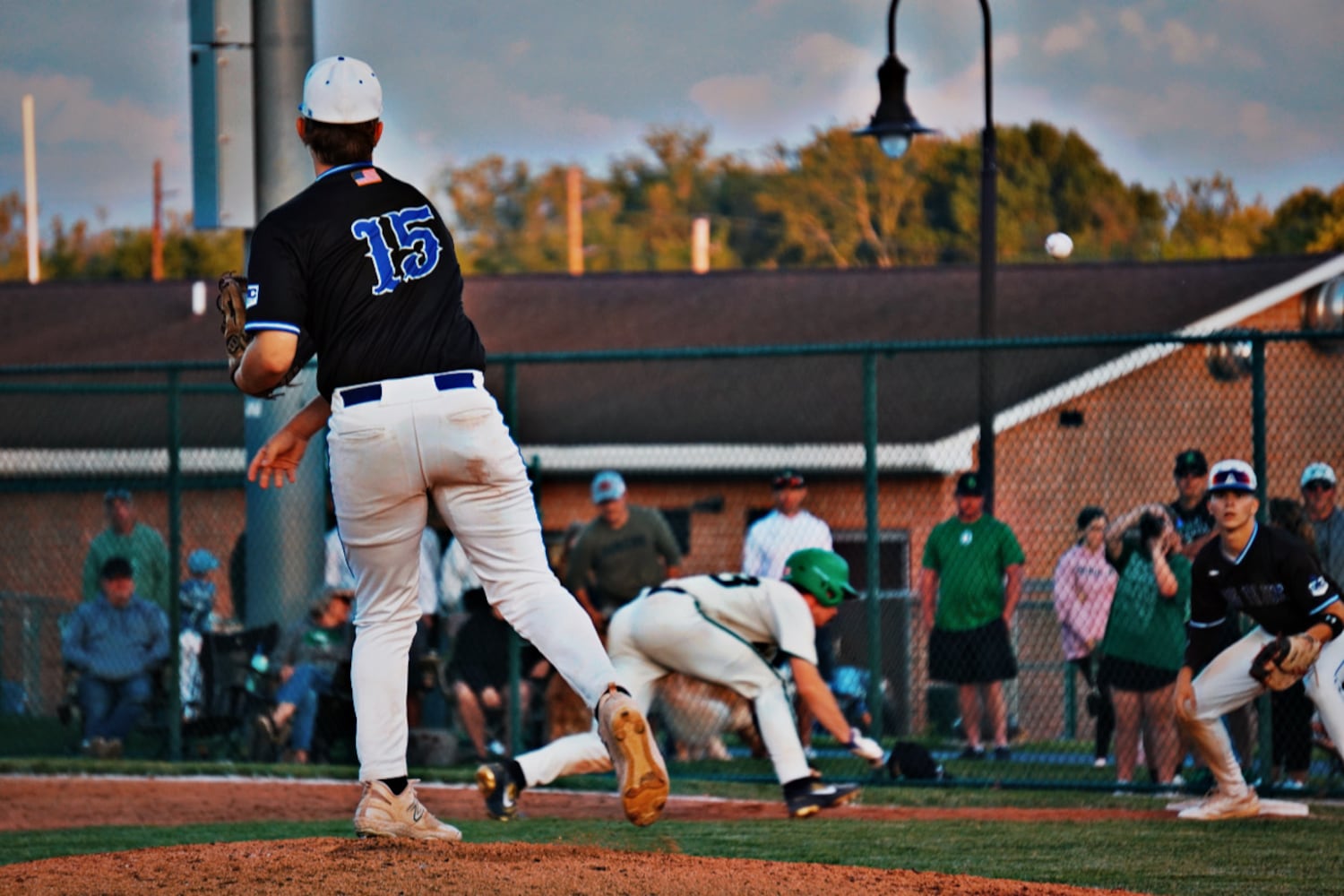 Hamilton pitcher