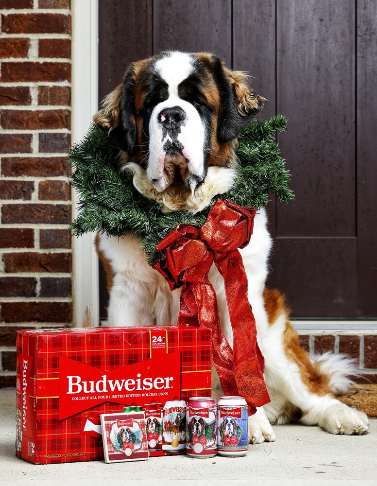 111821 beer dog