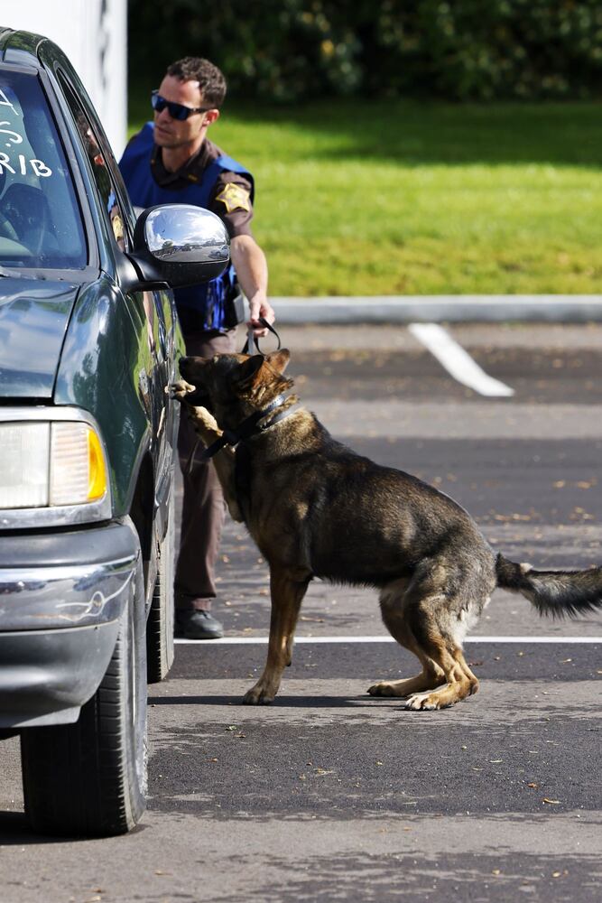 051622 police dogs