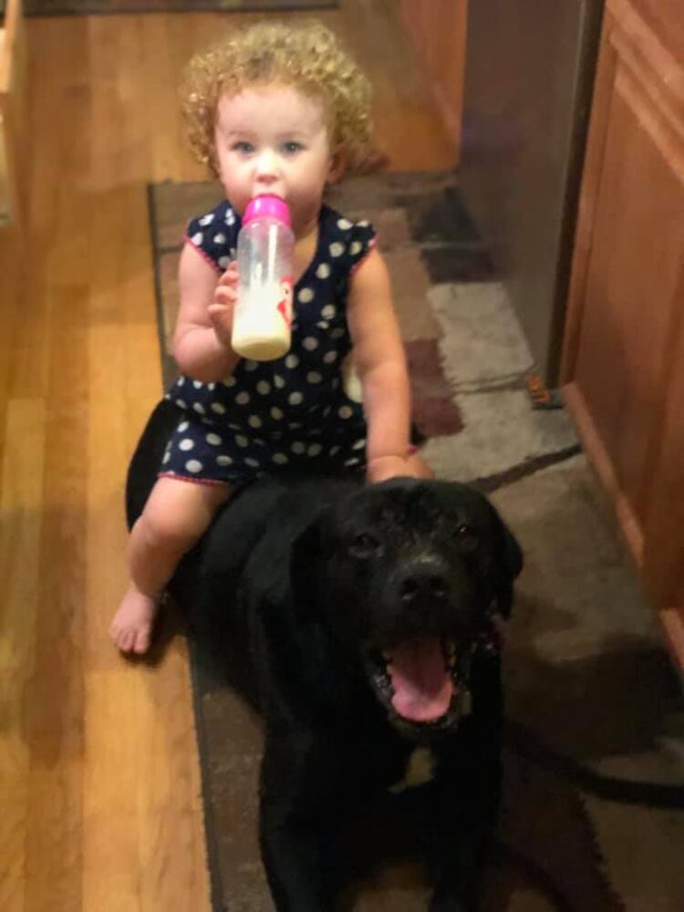 PHOTOS Readers respond to National Black Dog day post with pictures of their pets.
