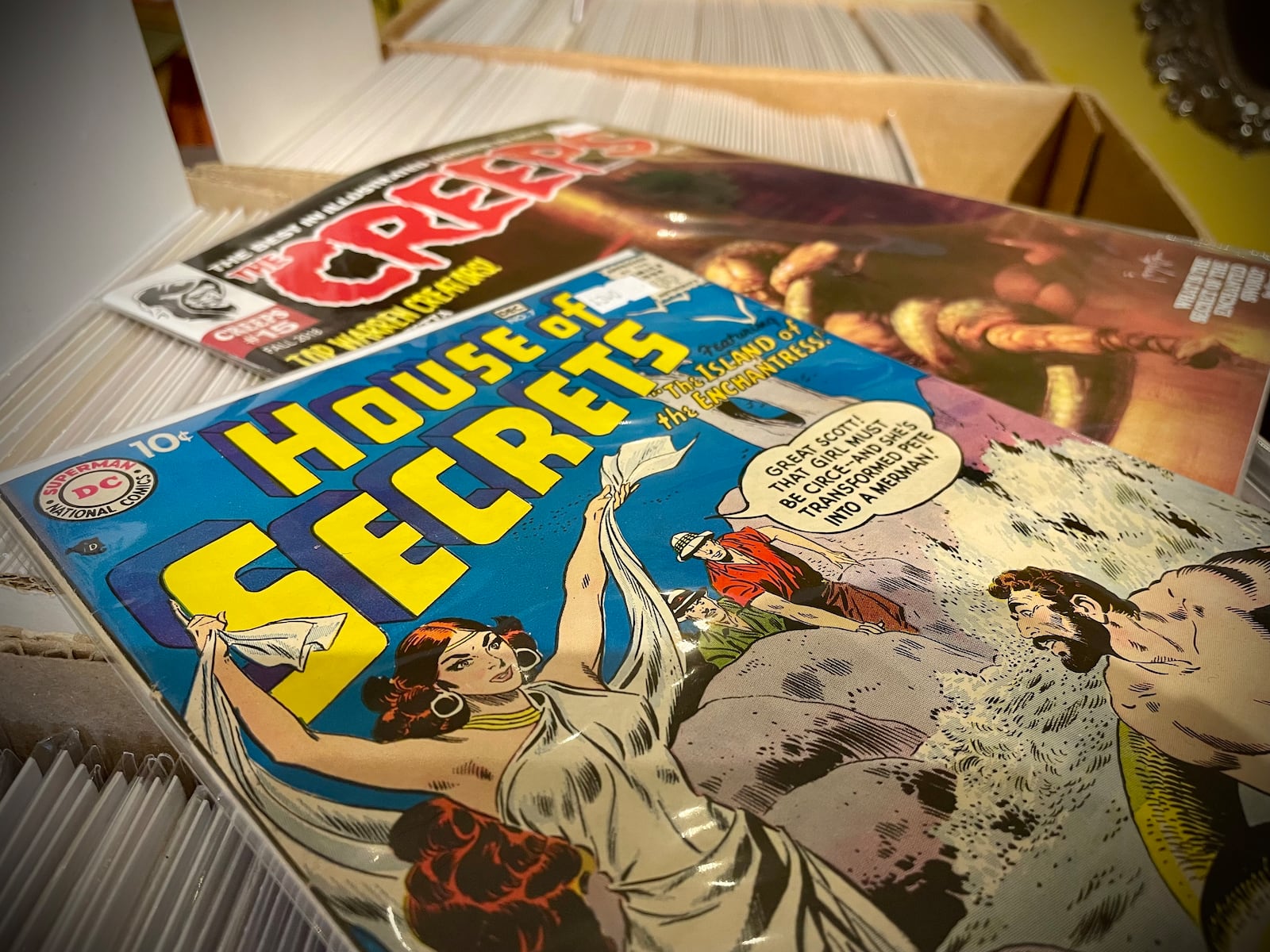 Hailstorm Vintage, a comic book, vintage clothing and collectible store at 98 S. Main St. in Waynesville, is celebrating its grand opening on Nov. 1. NATALIE JONES/STAFF