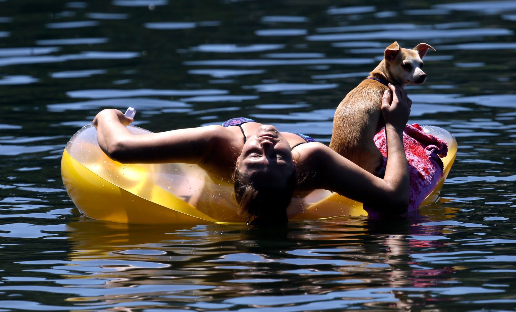 News hounds (7/9/15)