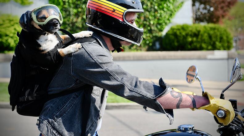 Brandon Fugate and his dog Brunhilda enjoy the nice weather Tuesday May 10, 2022 with a motorcycle ride on Third Street in Dayton. MARSHALL GORBY\STAFF