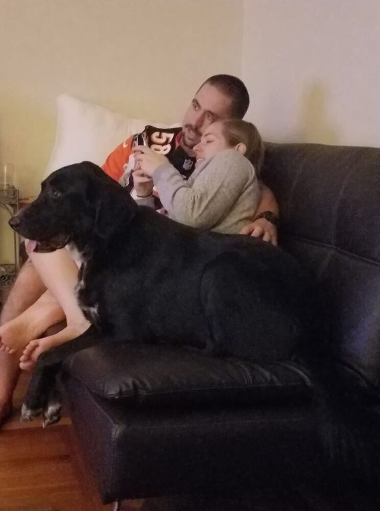 PHOTOS Readers respond to National Black Dog day post with pictures of their pets.