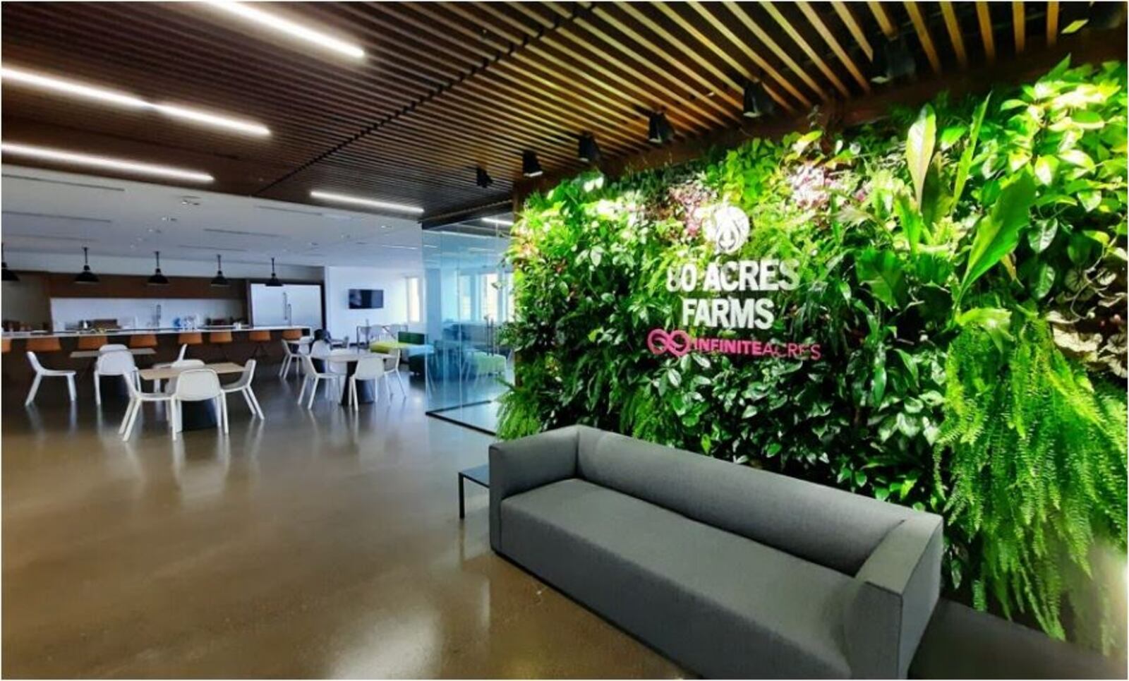 80 Acres, the cutting-edge indoor farming company, has its headquarters on the seventh floor of Hamilton's city-government tower. PROVIDED