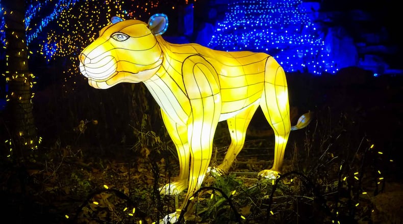 Scenes fromt the Cincinnati Zoo and Botanical Garden 37th annual Festival of Lights. GREG LYNCH / STAFF