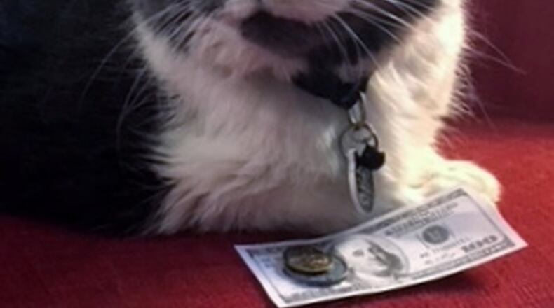 Abby: “You think I should work?” JORDAN BLAKE/CONTRIBUTED