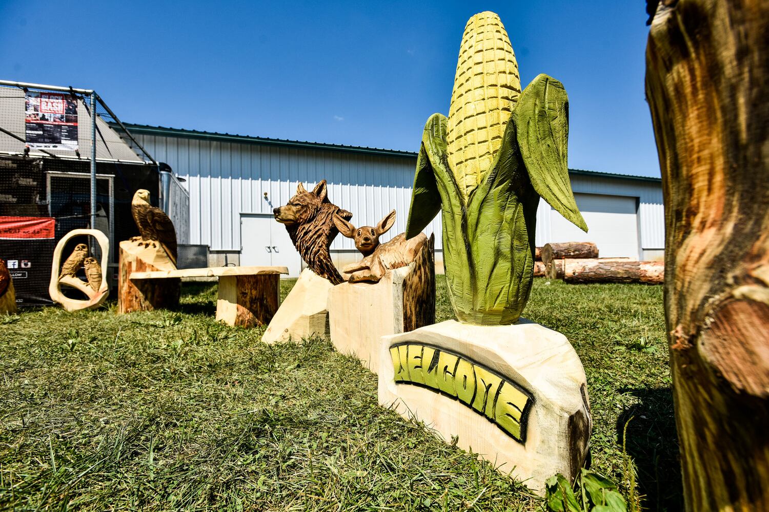 PHOTOS: Butler County Fair 2018