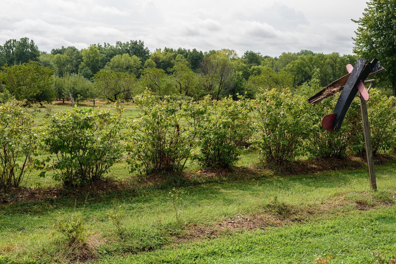 Hidden Valley Orchards