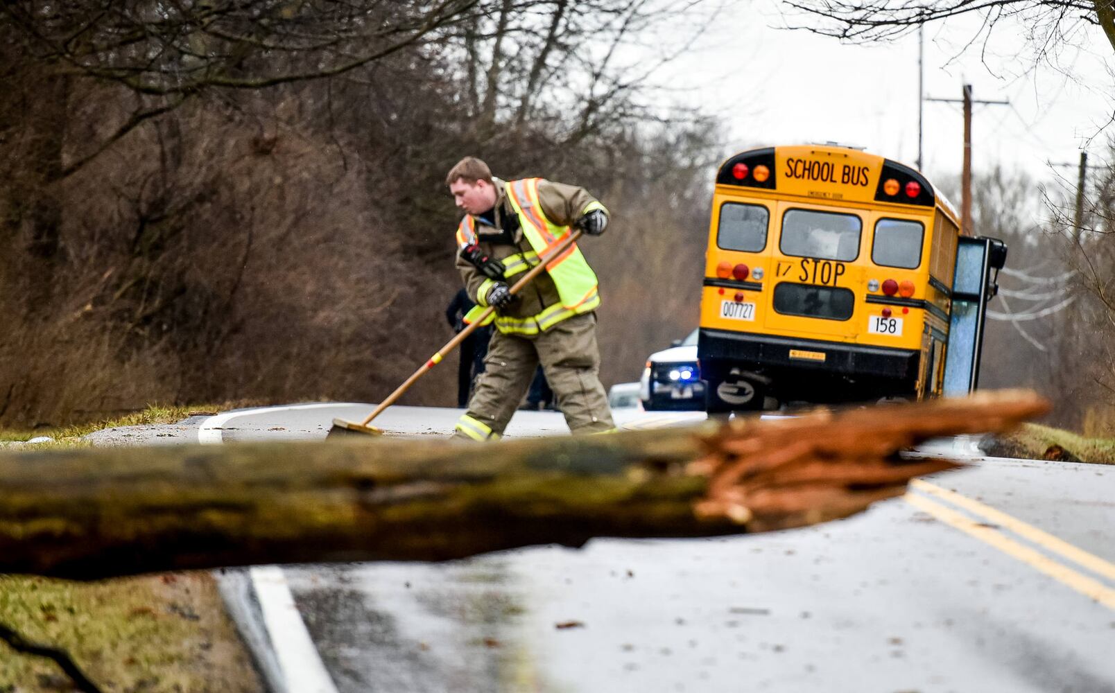 Driver injured when tree falls on bus