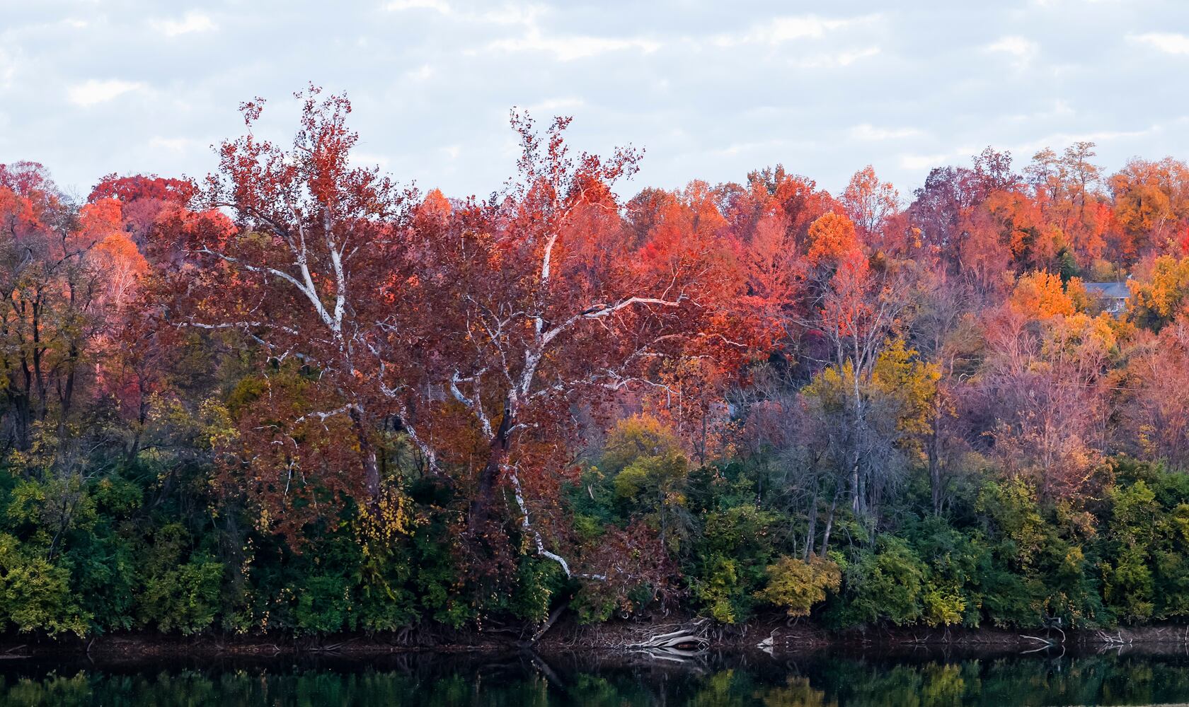 102622 fall colors butler county
