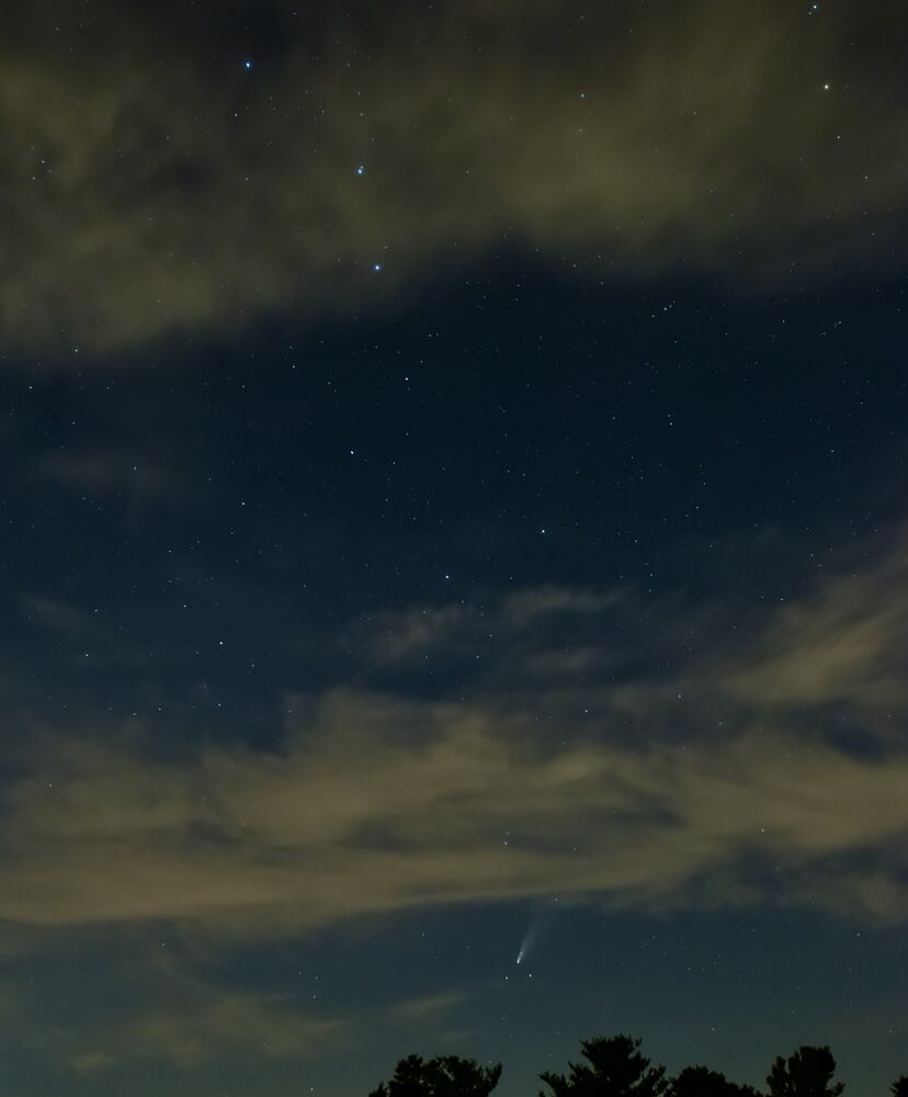 NEOWISE comet visible in the night sky