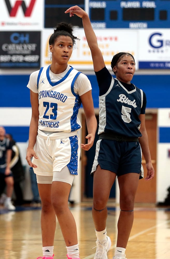 Fairmont Springboro basketball