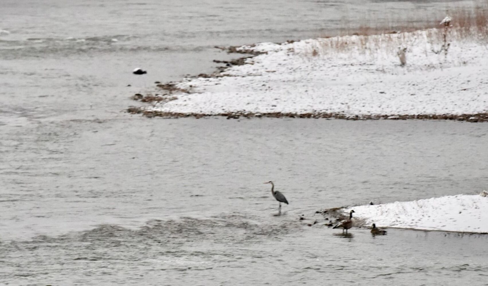 Snowstorm hits area on first day of spring
