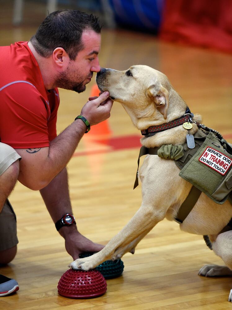 News hounds (9/10/15)