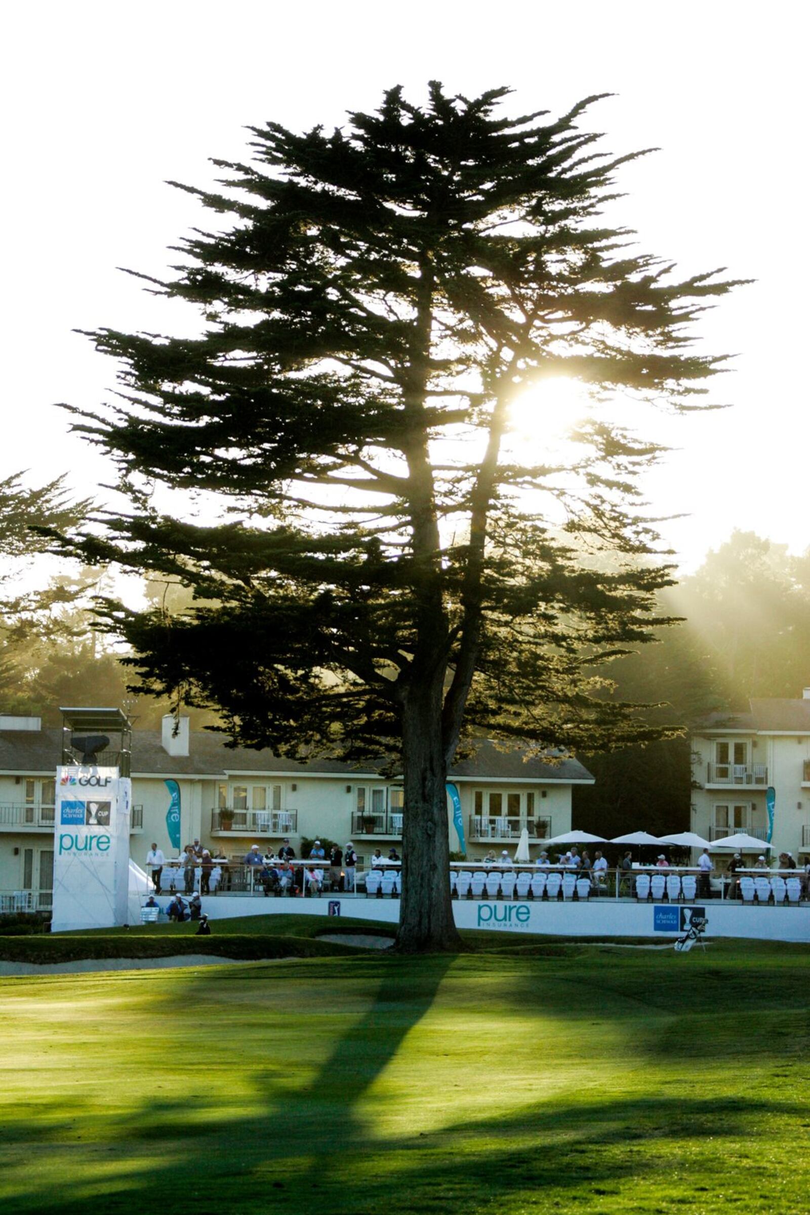 The setting sun shines through the giant Cypress tree at the 18th hole during the second round of the PGA Champions Tour PURE Insurance Championship on Sept. 23 at the Pebble Beach Golf Links in Pebble Beach, Calif. KENT HORNER/GETTY IMAGES