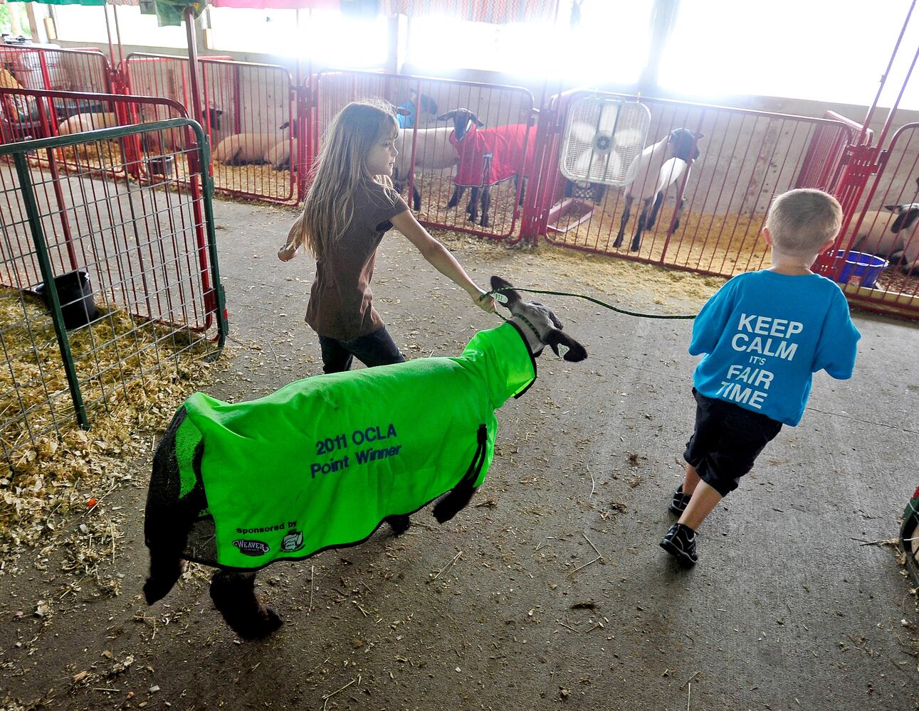 Warren County Fair 2015 Day 1