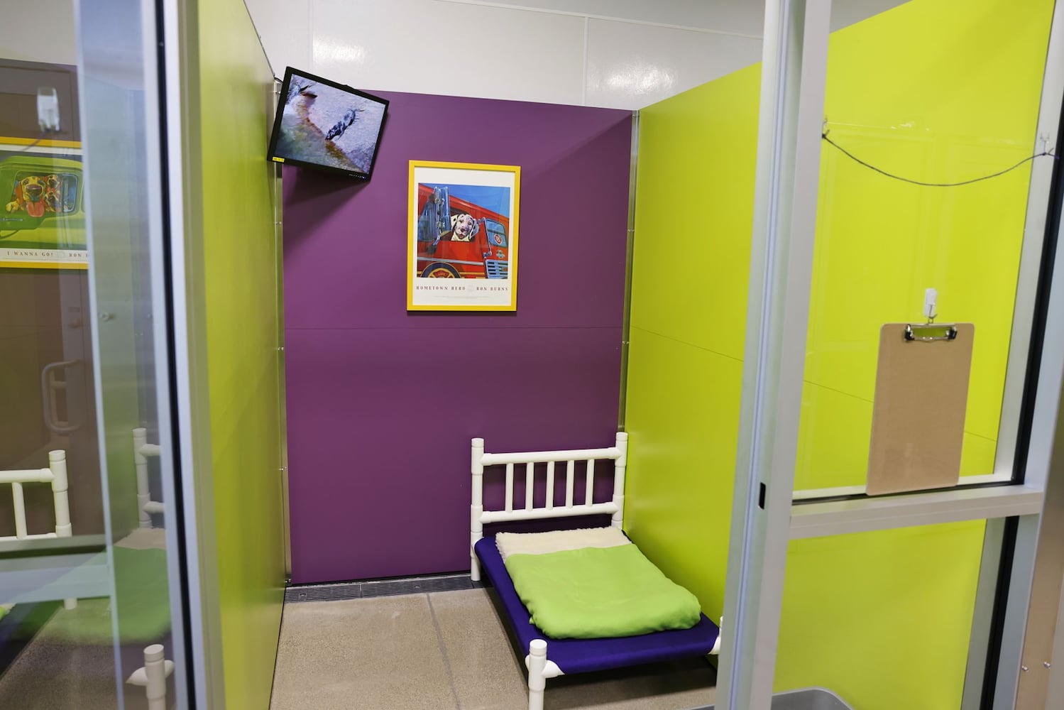 111423 Petsuites