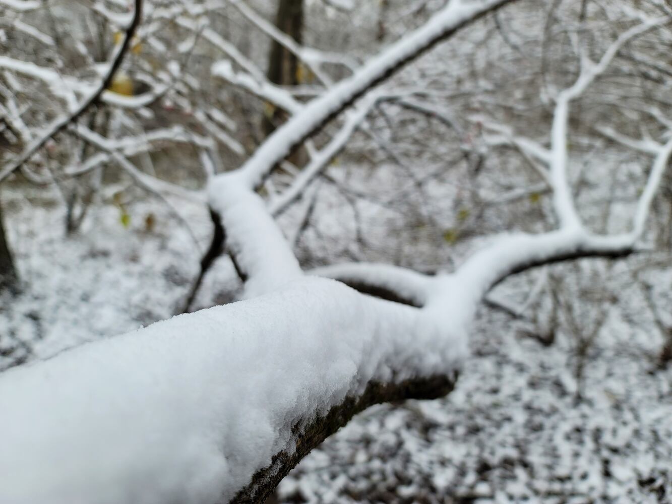 120120 butler snow