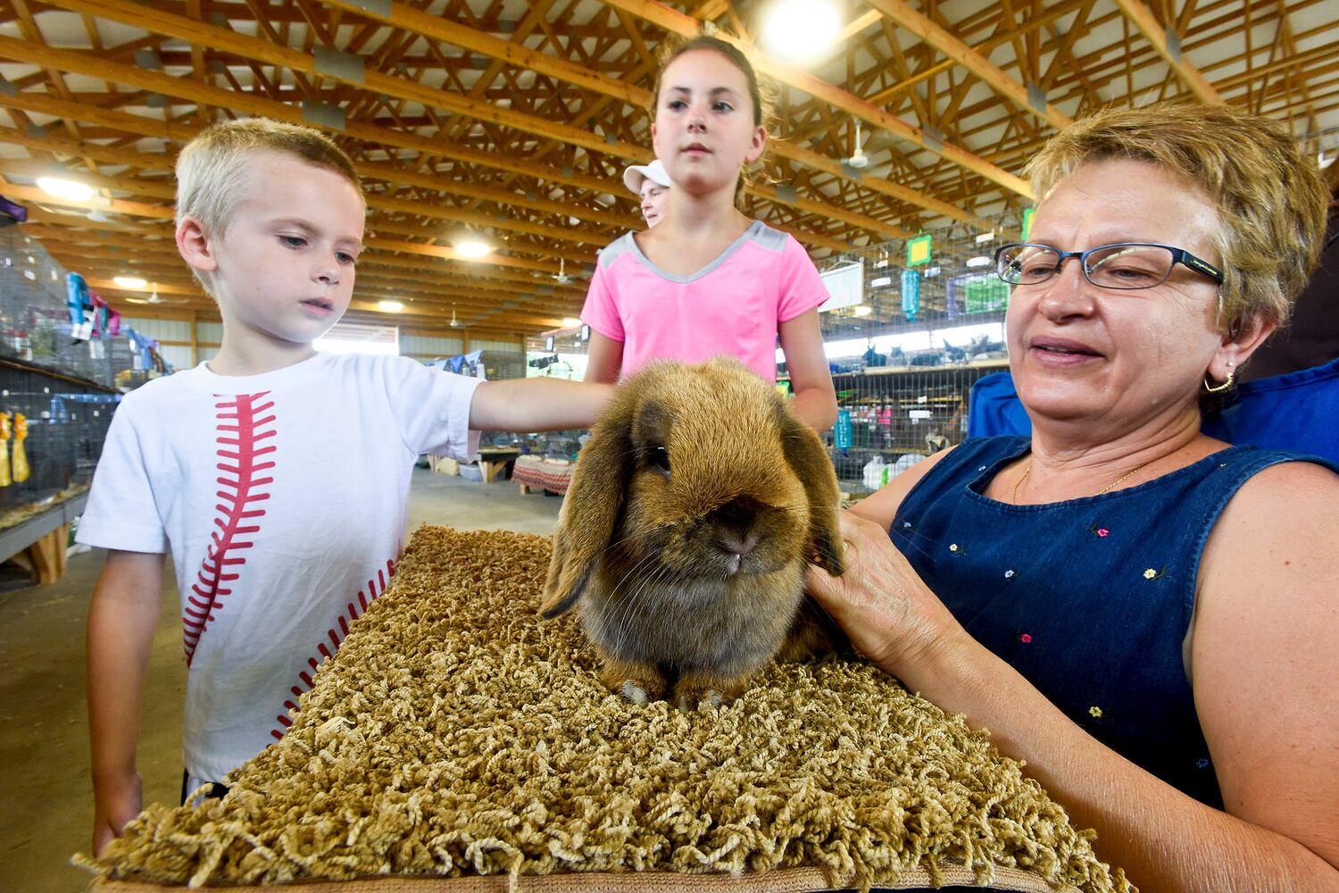 Warren County Fair 2015 Day 1
