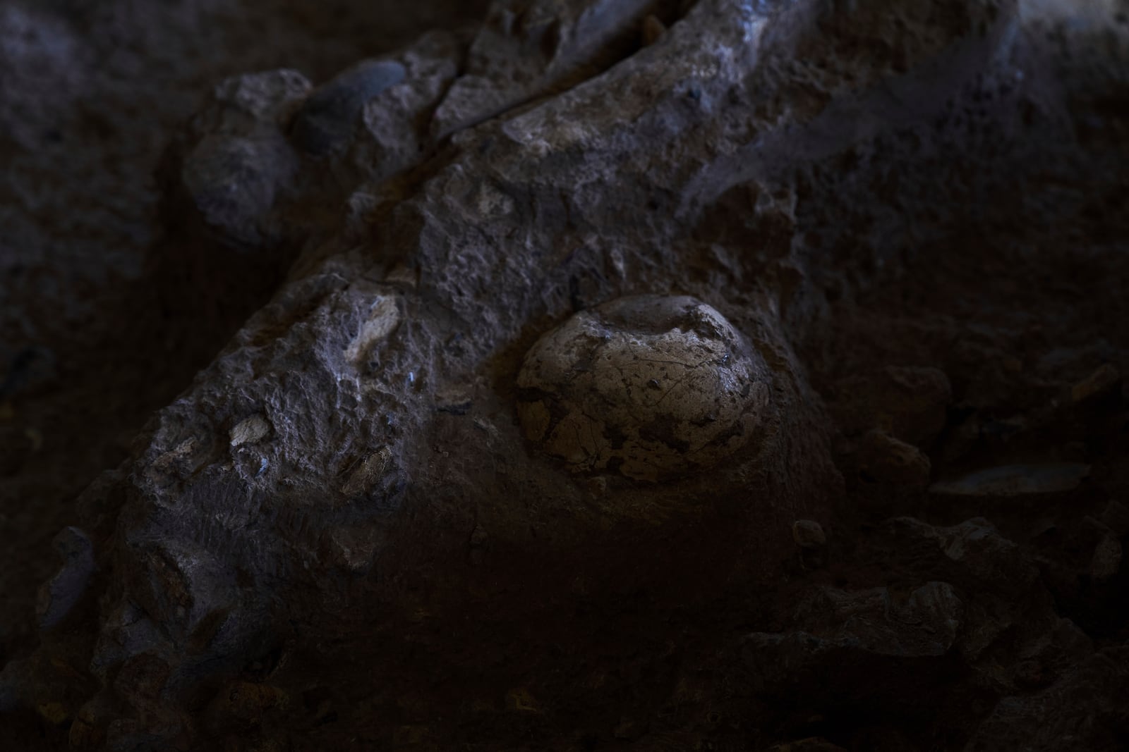 Early human remains are seen in Tinshemet Cave, where archaeologists are excavating one of the world's oldest known burial sites, dating back 100,000 years, near Shoam, Israel, Tuesday, July 15, 2025. (AP Photo/Ariel Schalit)