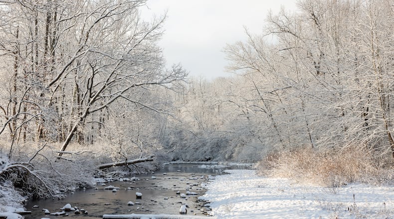 Snow covered trees line Elk Creek at Sebald MetroPark Tuesday, Dec. 2, 2025 in Madison Township. NICK GRAHAM/STAFF