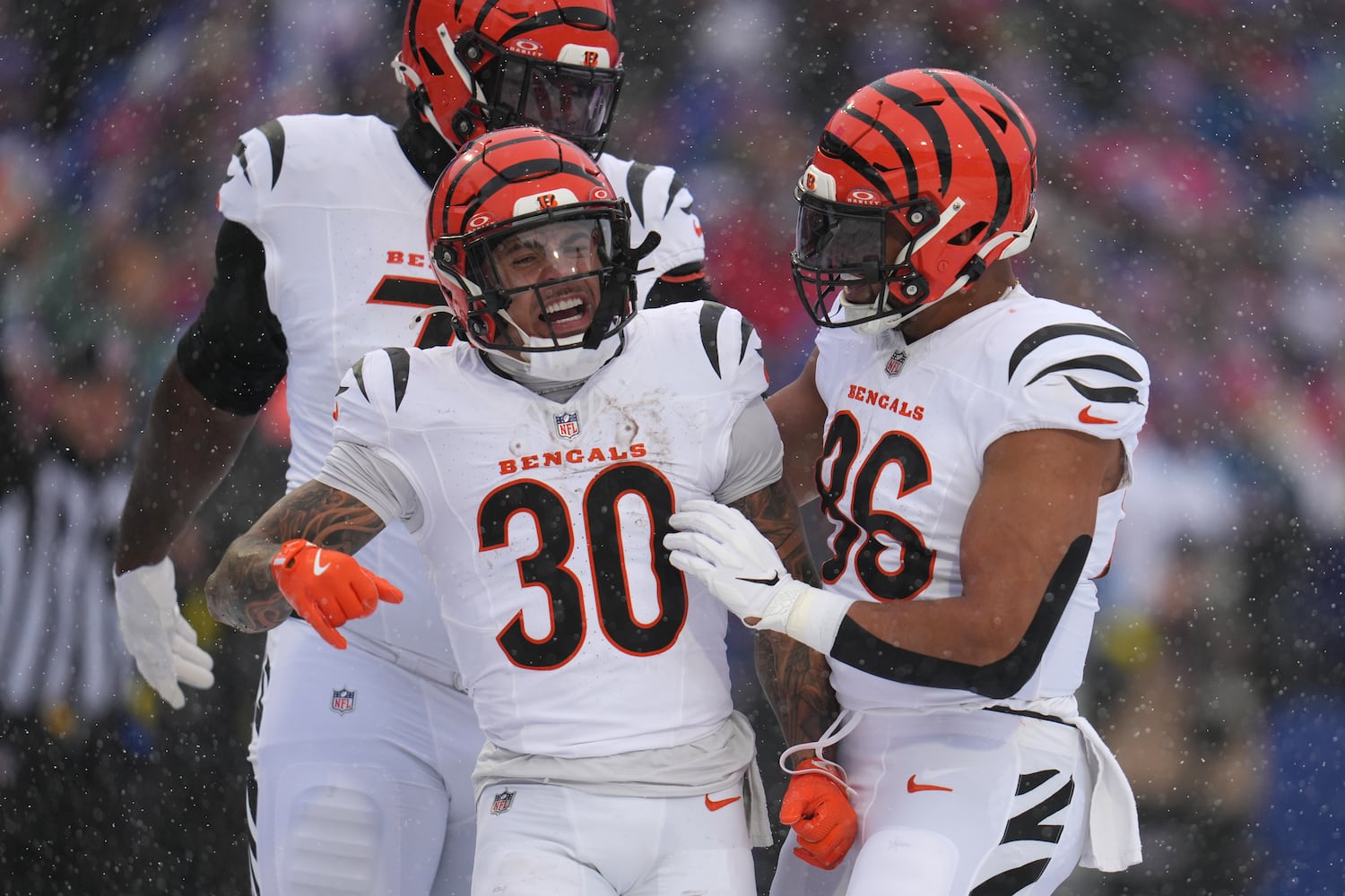 Bengals Bills Football