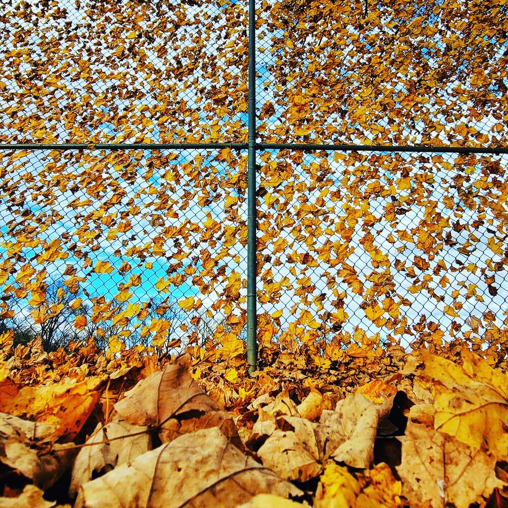 Journal-News Instagram November 2020