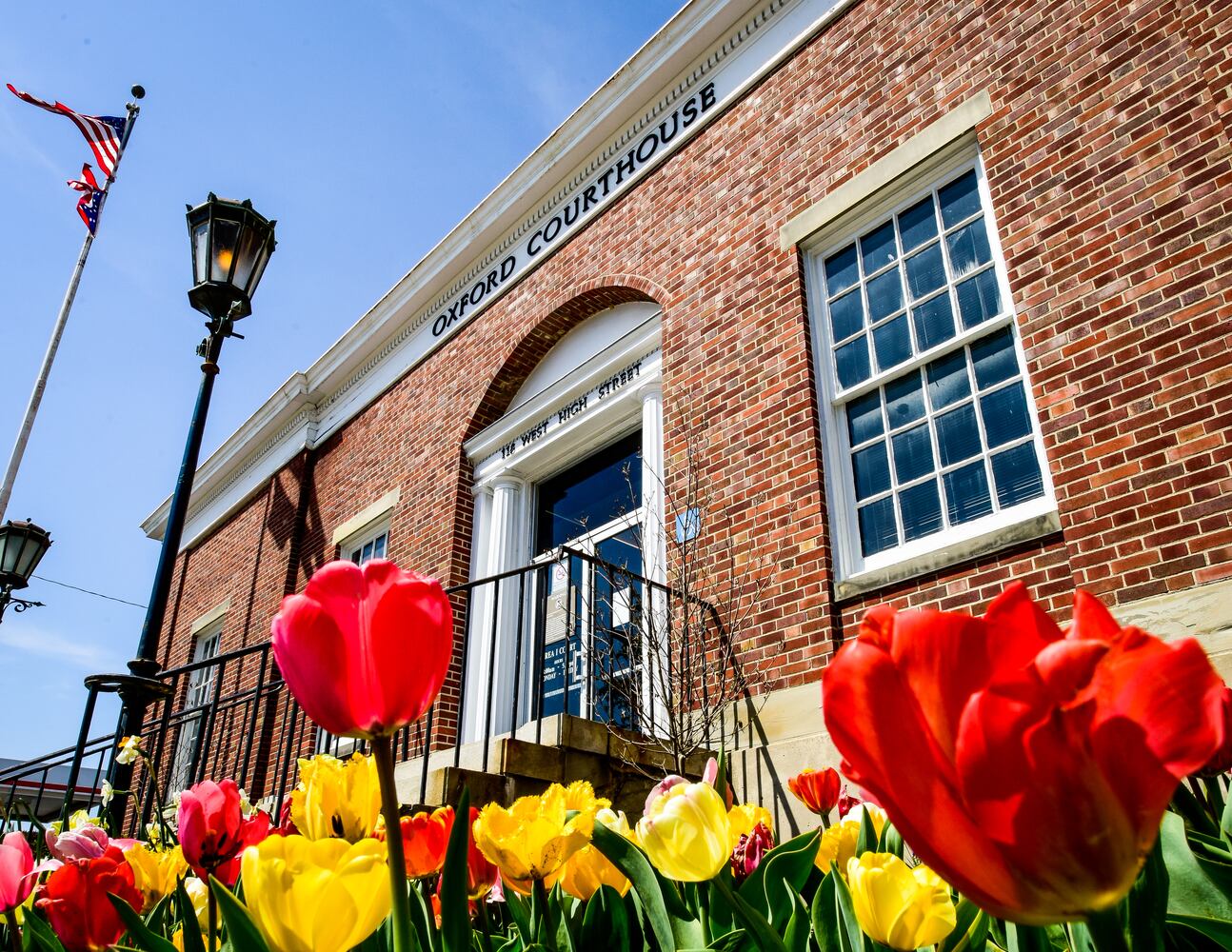 Flower photos to make you think about warmer weather around the corner