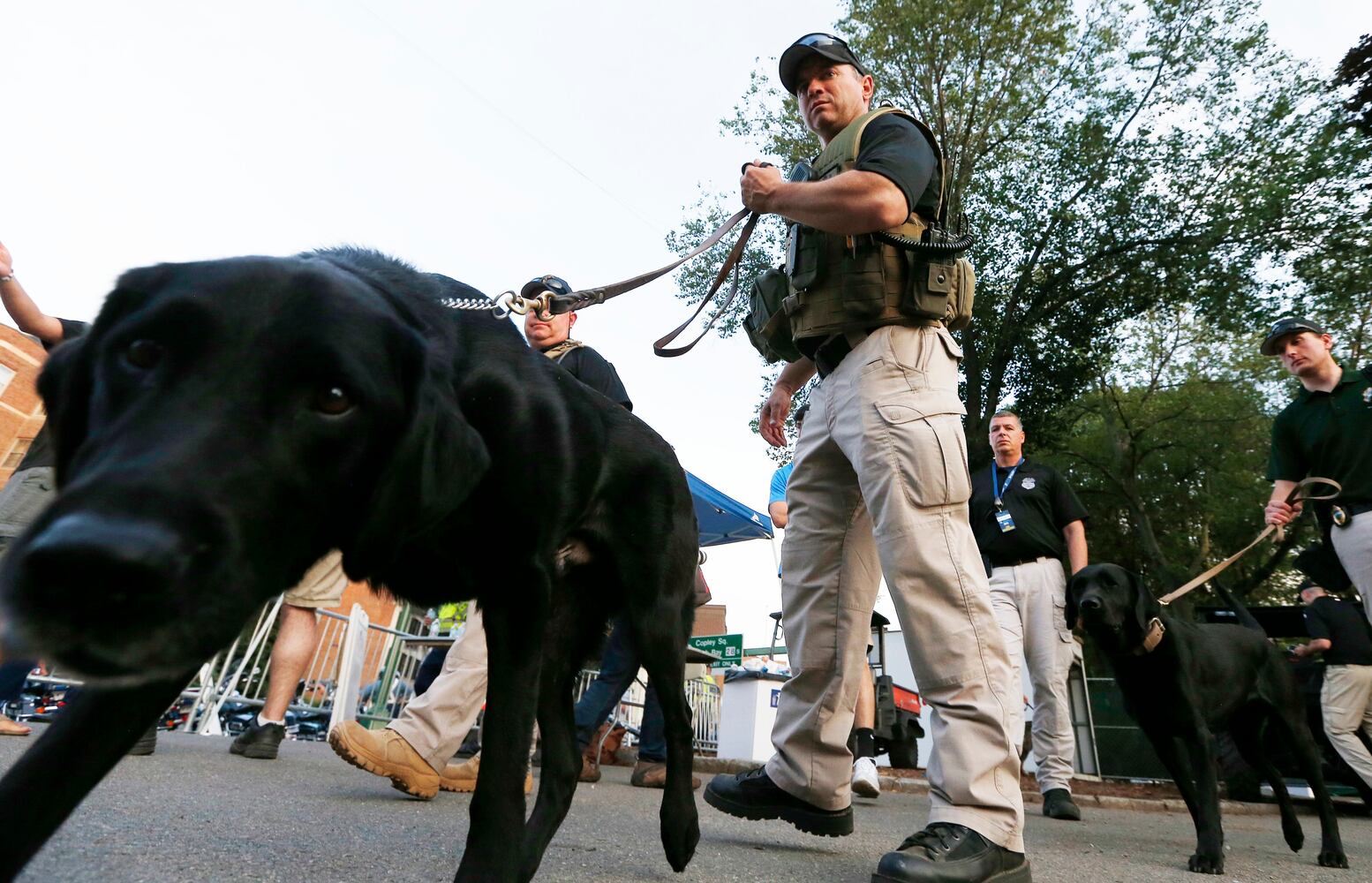 News hounds (7/9/15)
