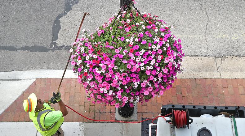 Dick Meeks waters one of the hanging baskets overflowing with flowers Monday, June 20, 2022. Meeks waters all the baskets, which hang on the street lights, every other day. He said with the high temperatures lately, he gives them an extra big drink and it takes about eight hours to water all the flowers. BILL LACKEY/STAFF
