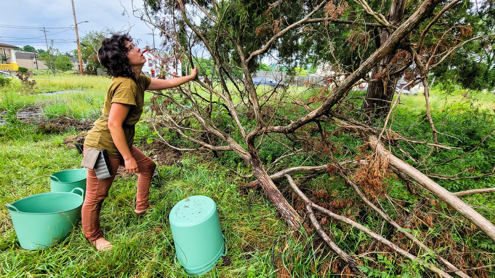 Laurana Wong works moves a fallen tree branch Monday, June 7, 2021 on Wilson Street in Hamilton. Wong plans on turning the vacant lot into secluded garden spaces called Flora Nature Rooms. NICK GRAHAM / STAFF