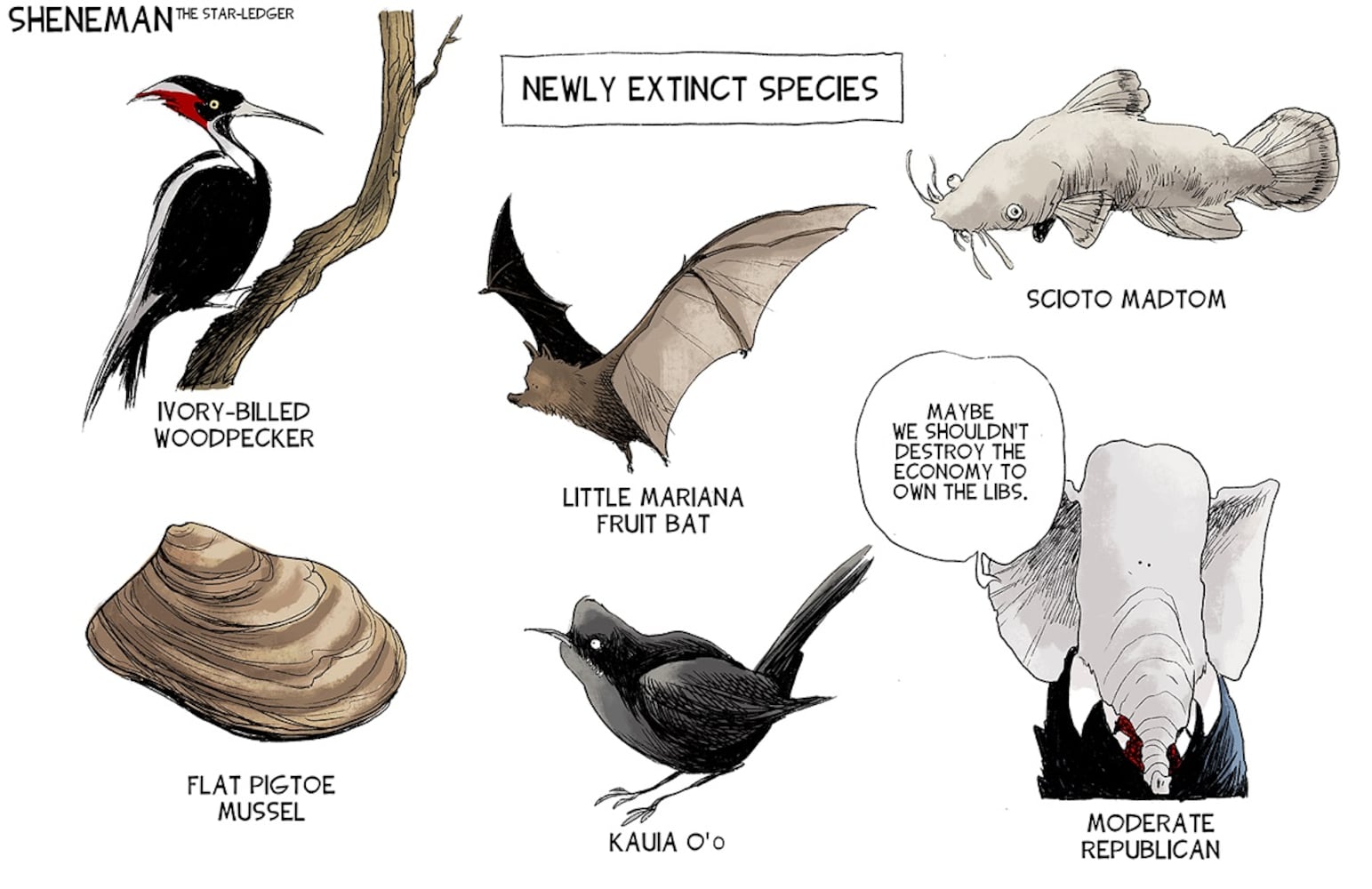 WEEK IN CARTOONS: Vaccines, immigration, spending and more