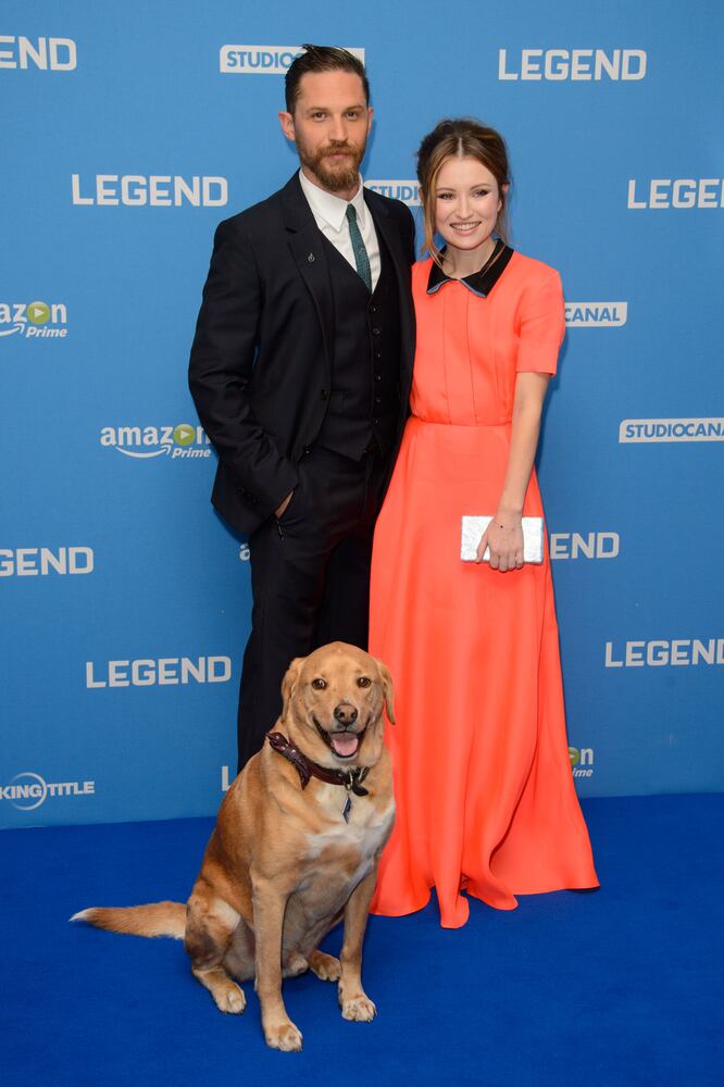 News hounds (9/10/15)
