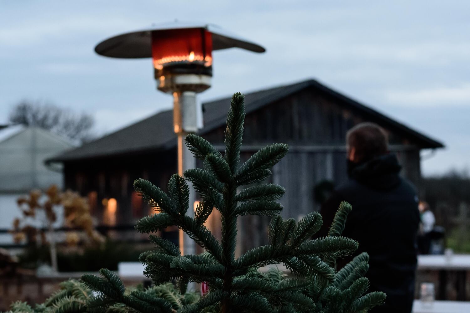 PHOTOS: Holiday Luminary Walk & Live Nativity at Hidden Valley Orchards
