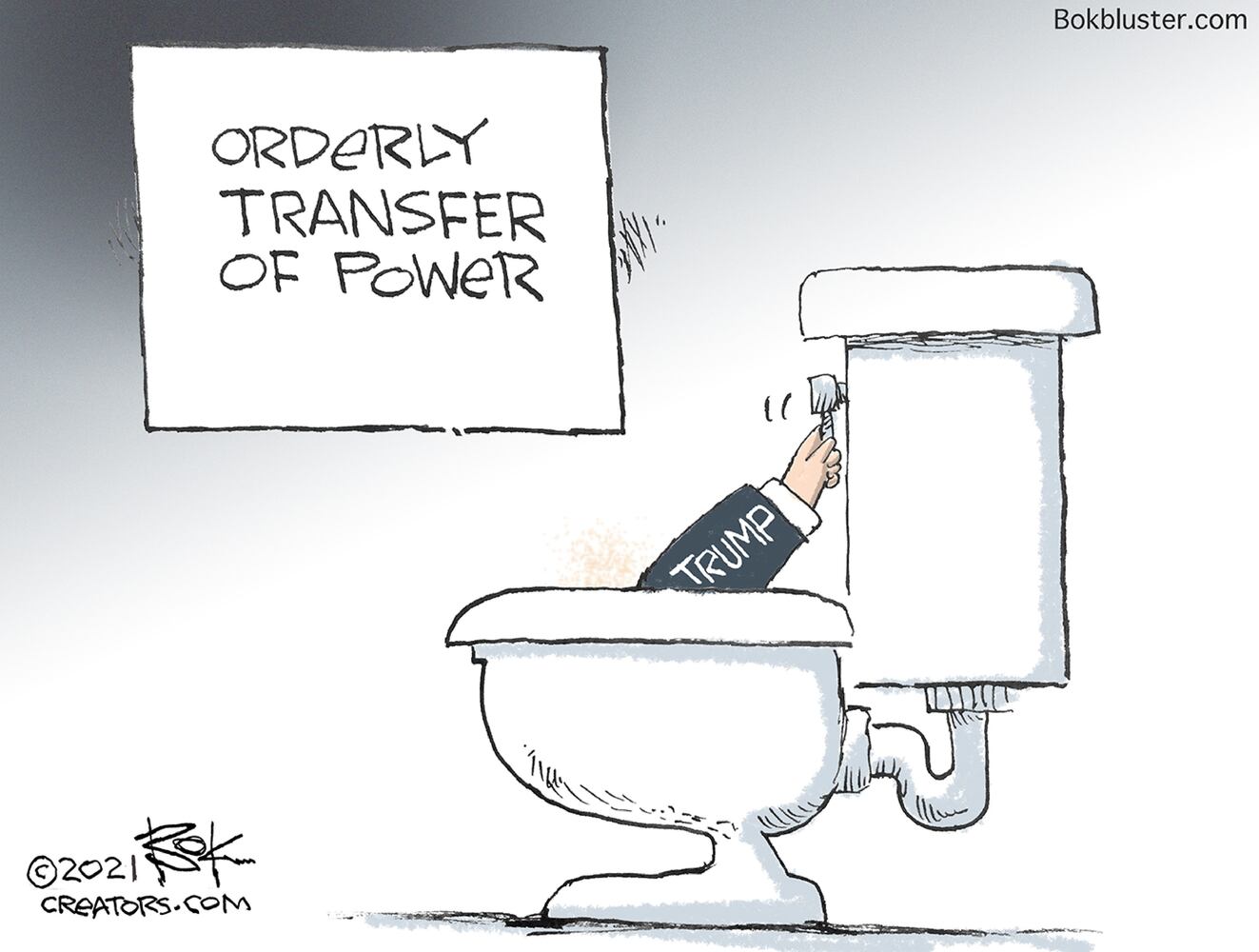 Week in cartoons: Georgia election, Capitol riots and more