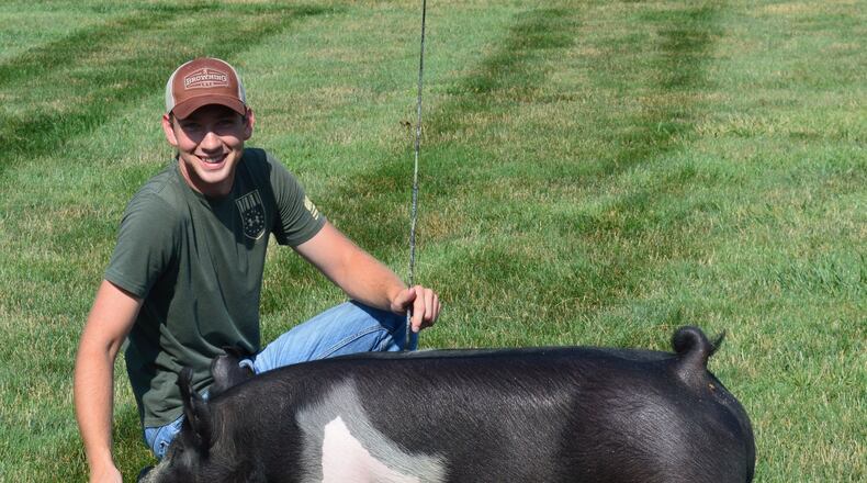 Matt Butterfield is shown with his barrow, Repeat, which he hopes will bring him another Grand Champion prize at the Ohio State Fair. He had the champion last year and has five barrows this year. He thinks the best three will go to the state fair, with the other two at this week’s Butler County Fair. CONTRIBUTED/BOB RATTERMAN