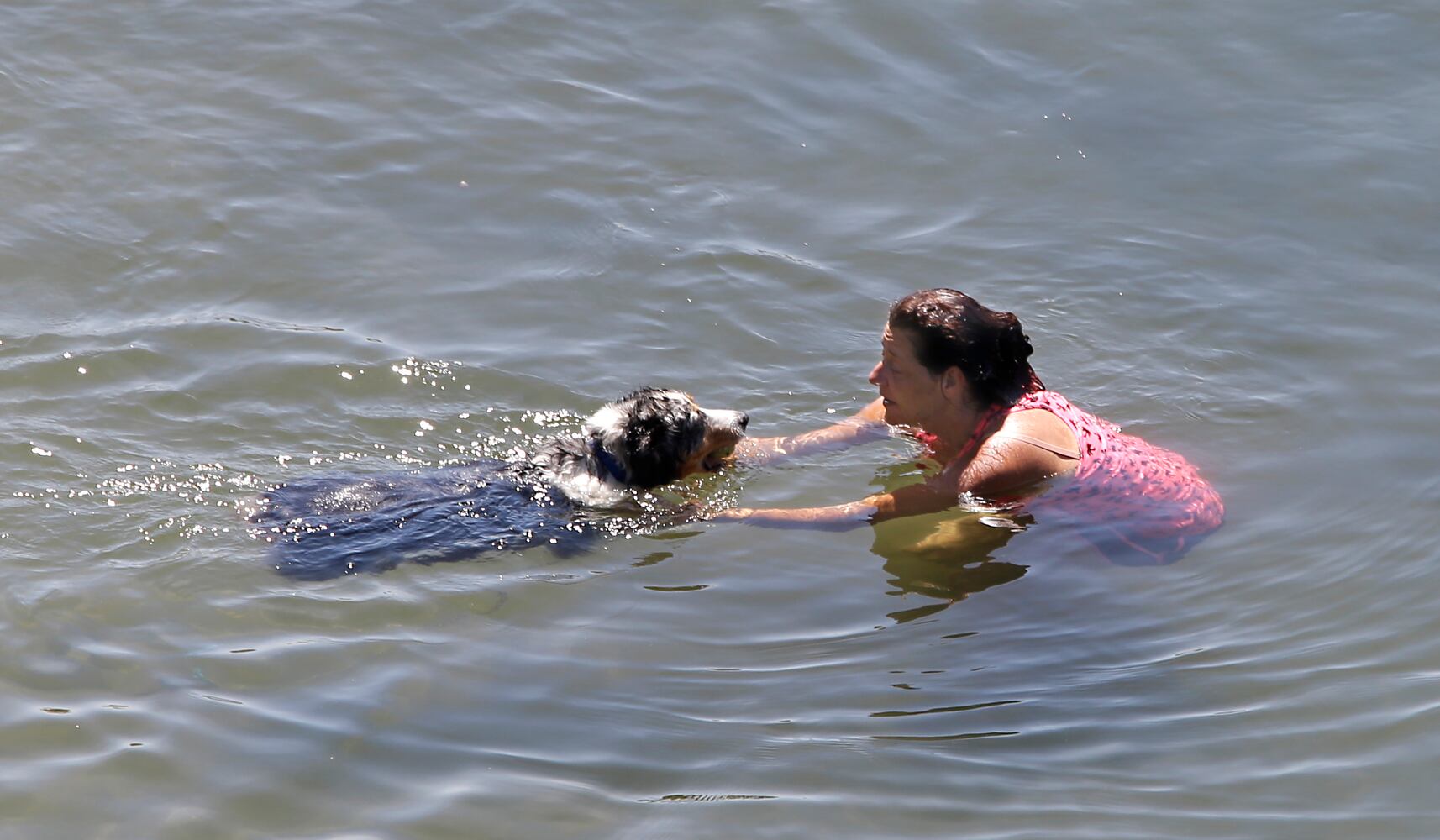 News hounds (7/30/15)