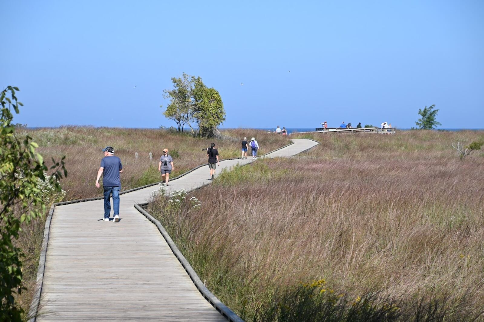 The Headlands Birding Festival will be held Sept. 19-21 in Mentor, Ohio. Contributed
