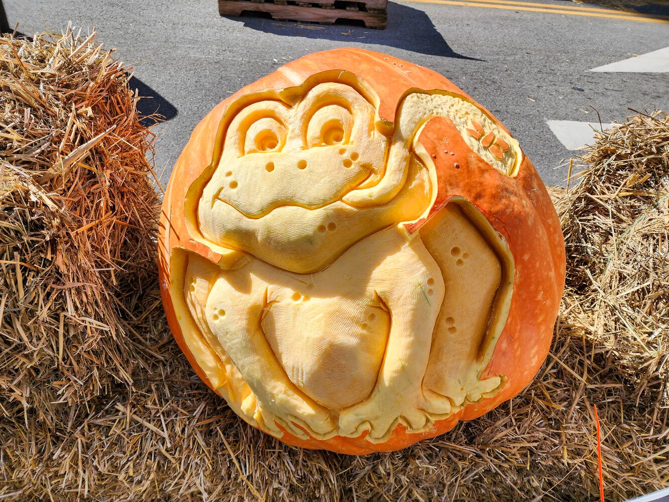 100722 operation pumpkin