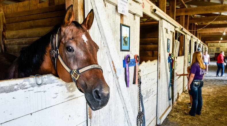 Scenes from the Butler County Fair Wednesday, July 24 in Hamilton. NICK GRAHAM/STAFF