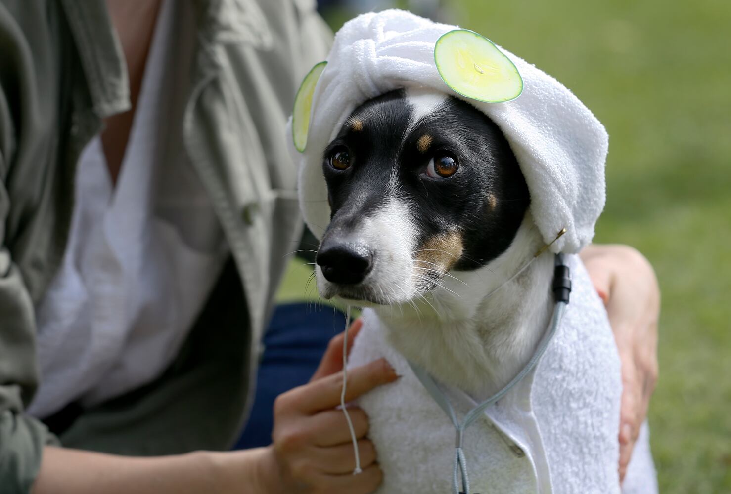 News hounds (9/17/15)