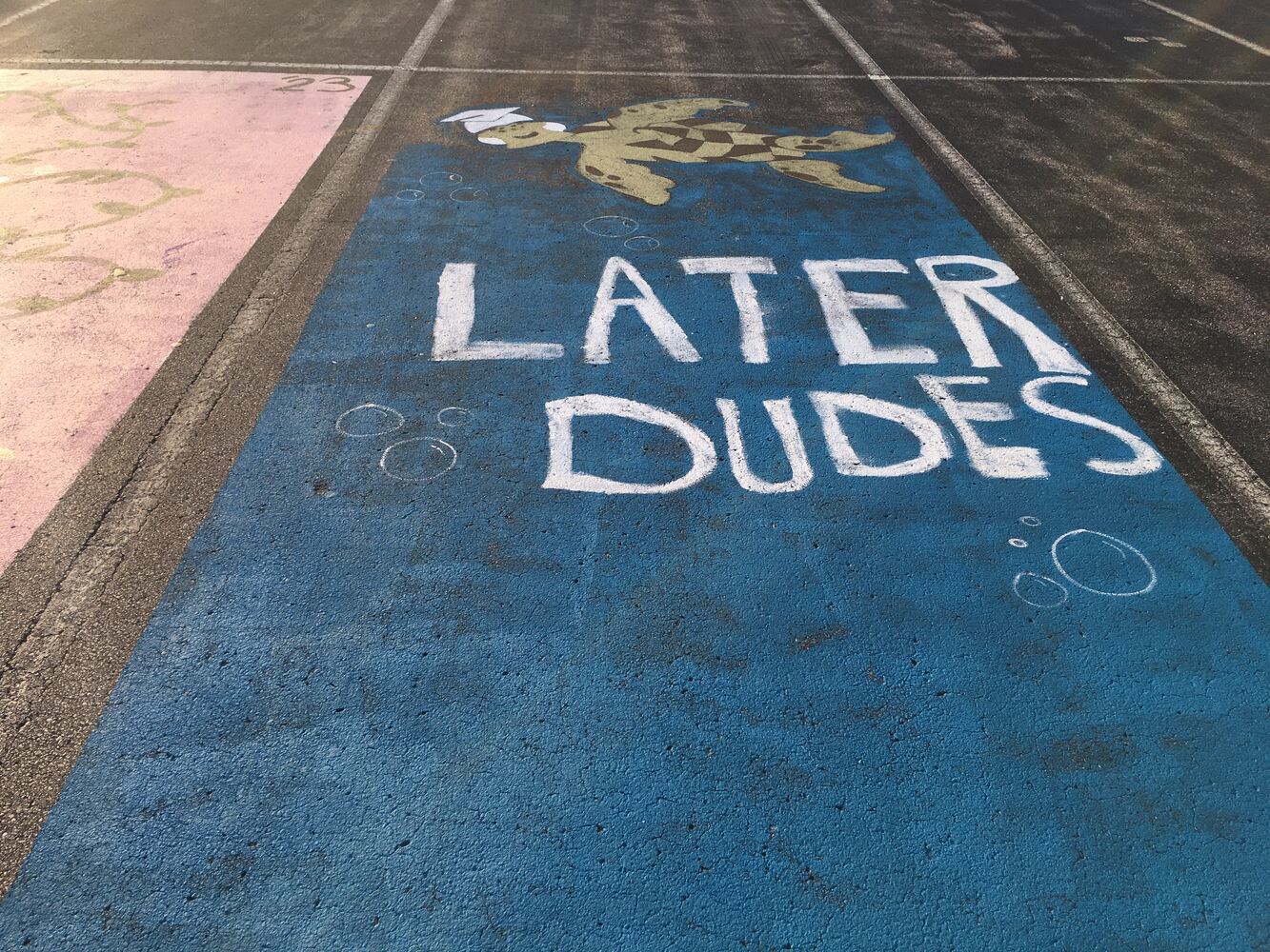 Ross senior parking lot spaces