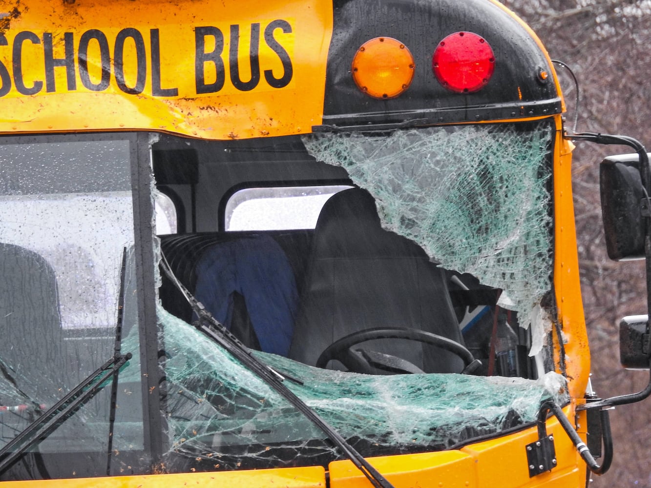 Driver injured when tree falls on bus