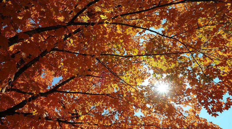 The sun shines through the beautiful fall leaves at Thomas A. Cloud Memorial Park in Huber Heights Tuesday Oct. 11, 2022. MARSHALL GORBY\STAFF