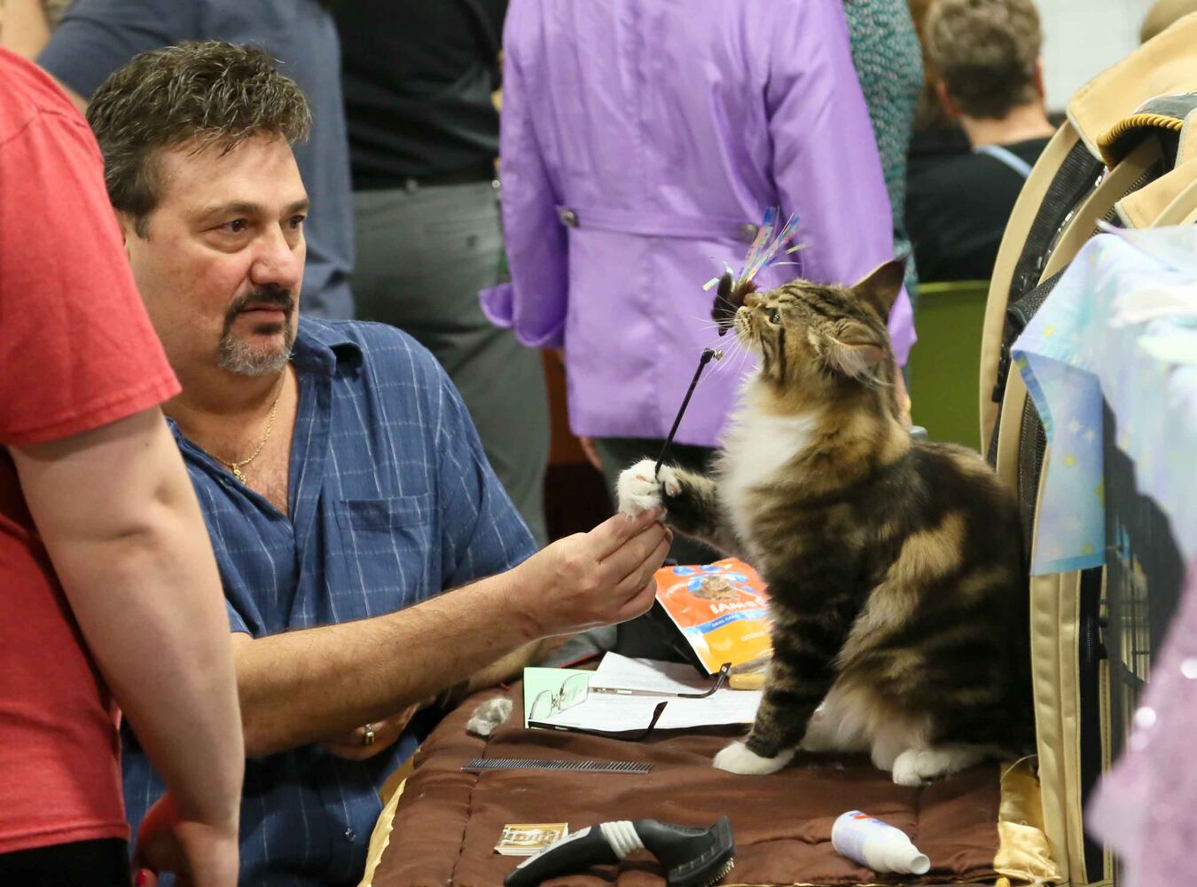 Cat Show at Butler County Fairgrounds