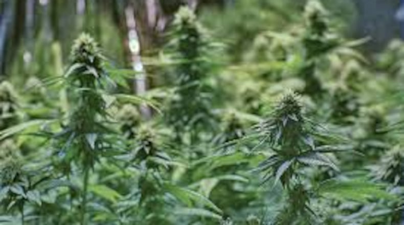 Marijuana dispensaries will likely be located in more populated areas, Liberty Twp. Trustee Christine Matacic said, and Butler County is the seventh largest county in the state and Liberty Twp. has been the fastest-growing community in the county.