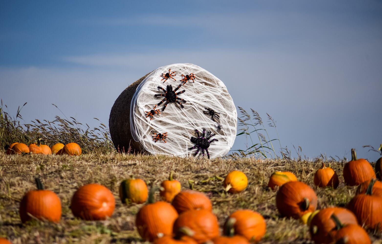 Fall colors October 2020